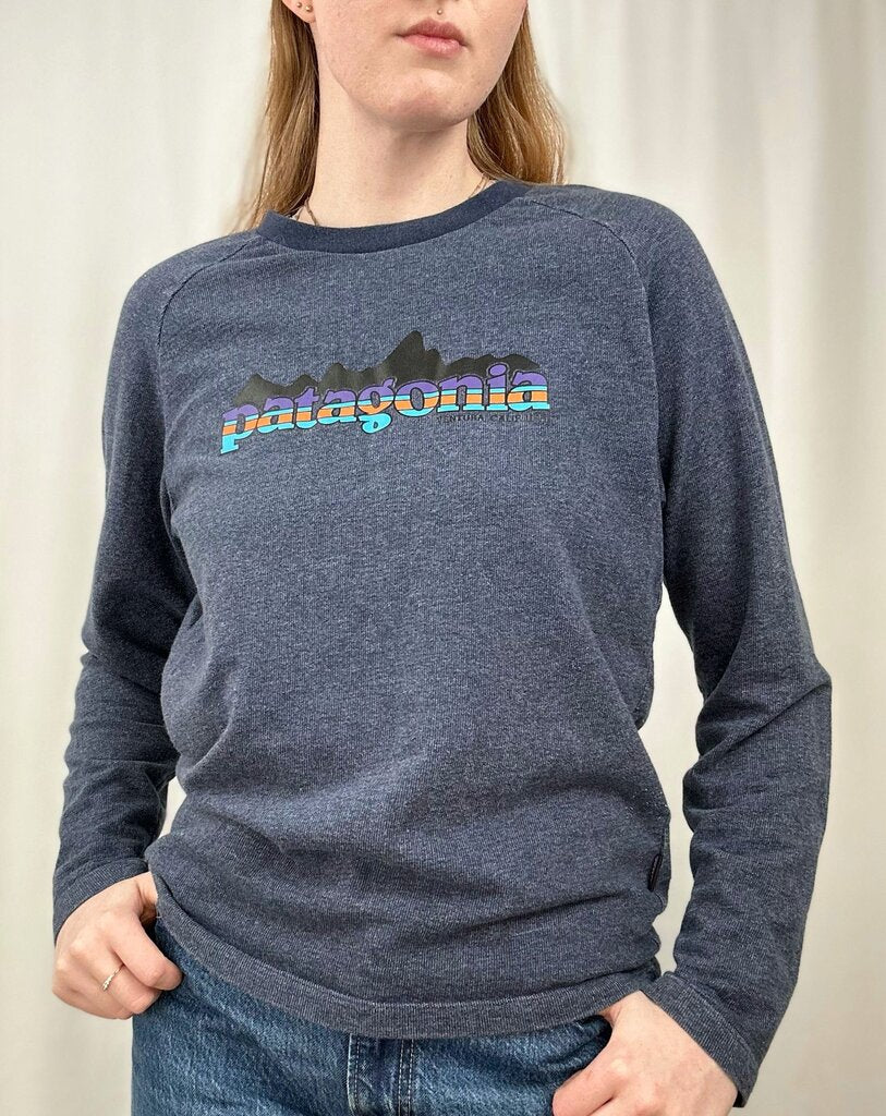 Patagonia logo pullover (S)
