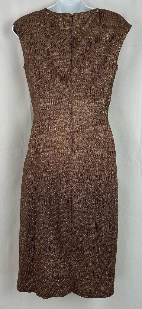 Ralph Lauren shimmery shift dress (size 4)