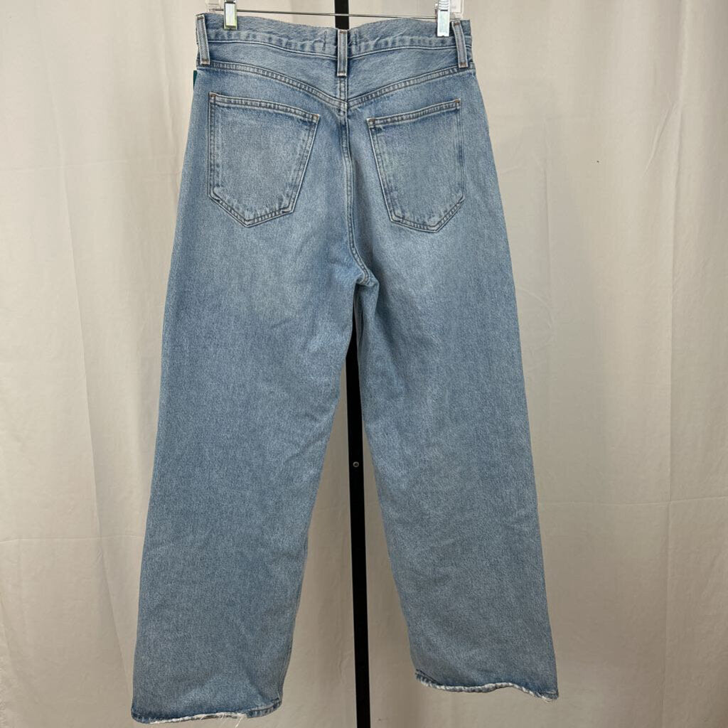AGOLDE Low Baggy Wide - 27