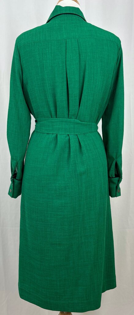 Cefinn button down belted dress (size 6)