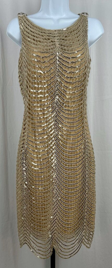 Tadashi Shoji open weave sequin tank dress (size 2)