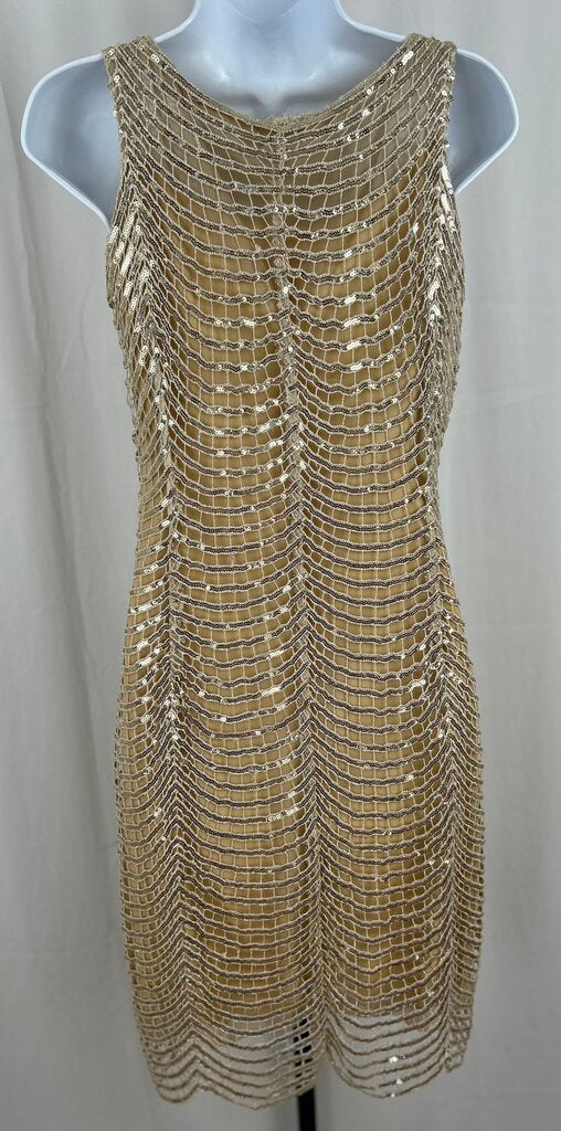 Tadashi Shoji open weave sequin tank dress (size 2)