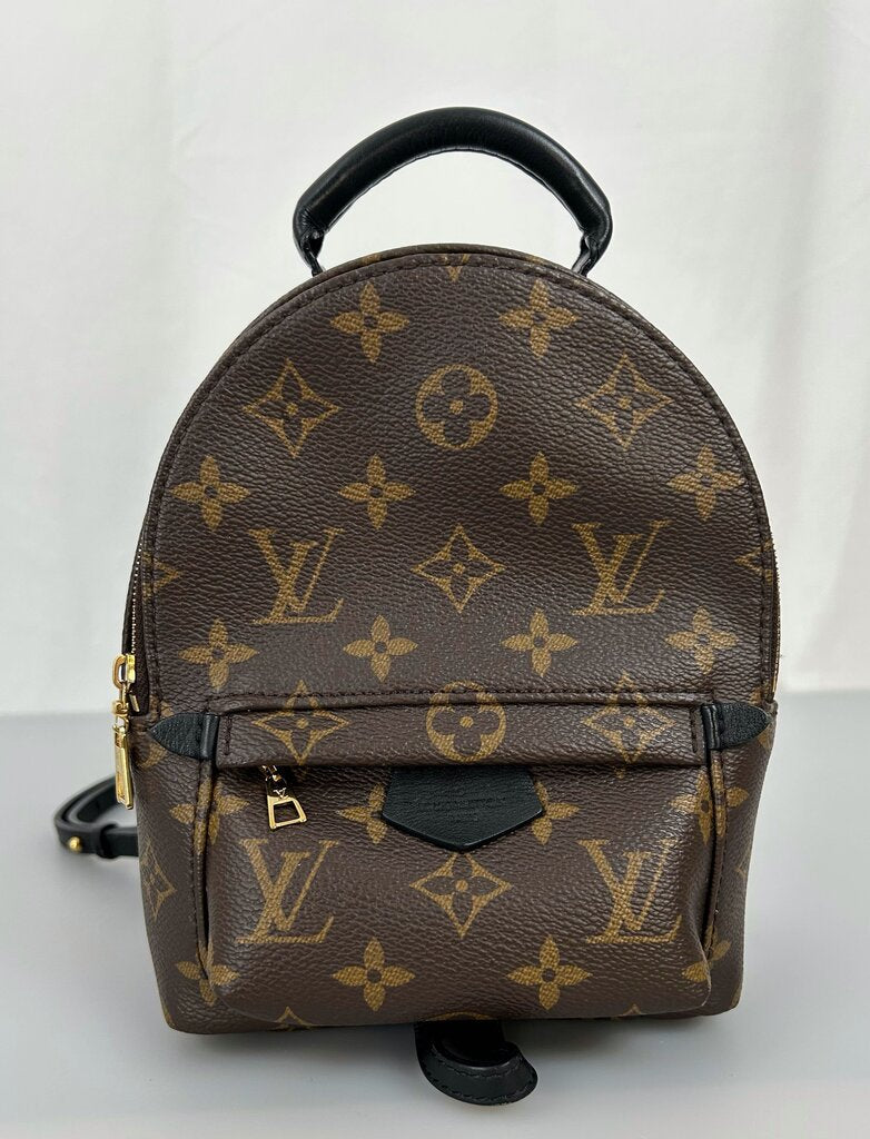 Louis Vuitton Palm Springs mini backpack