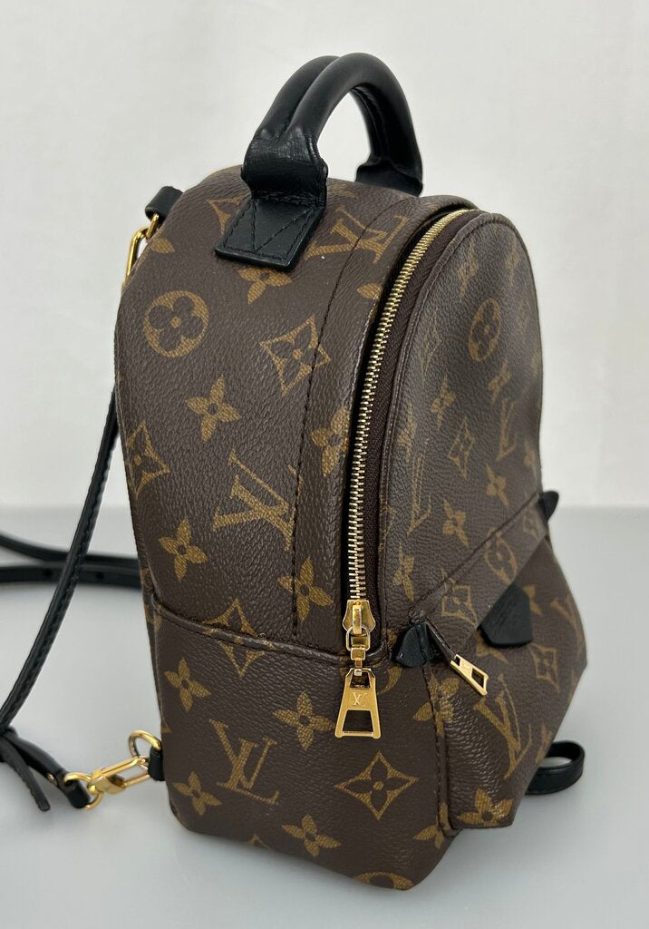 Louis Vuitton Palm Springs mini backpack
