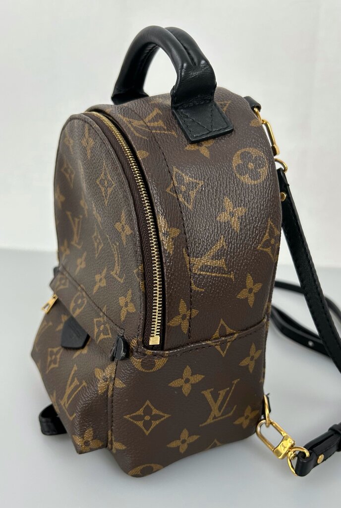 Louis Vuitton Palm Springs mini backpack