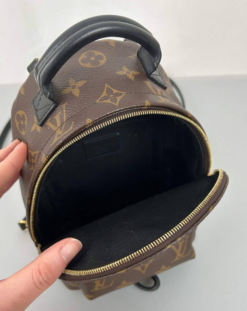 Louis Vuitton Palm Springs mini backpack
