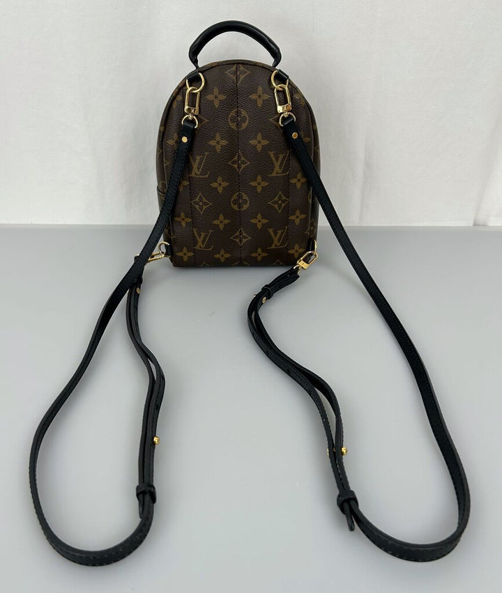 Louis Vuitton Palm Springs mini backpack
