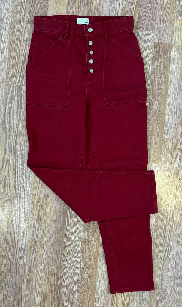 Wilfred Free cargo taper button fly canvas pant (size 6)