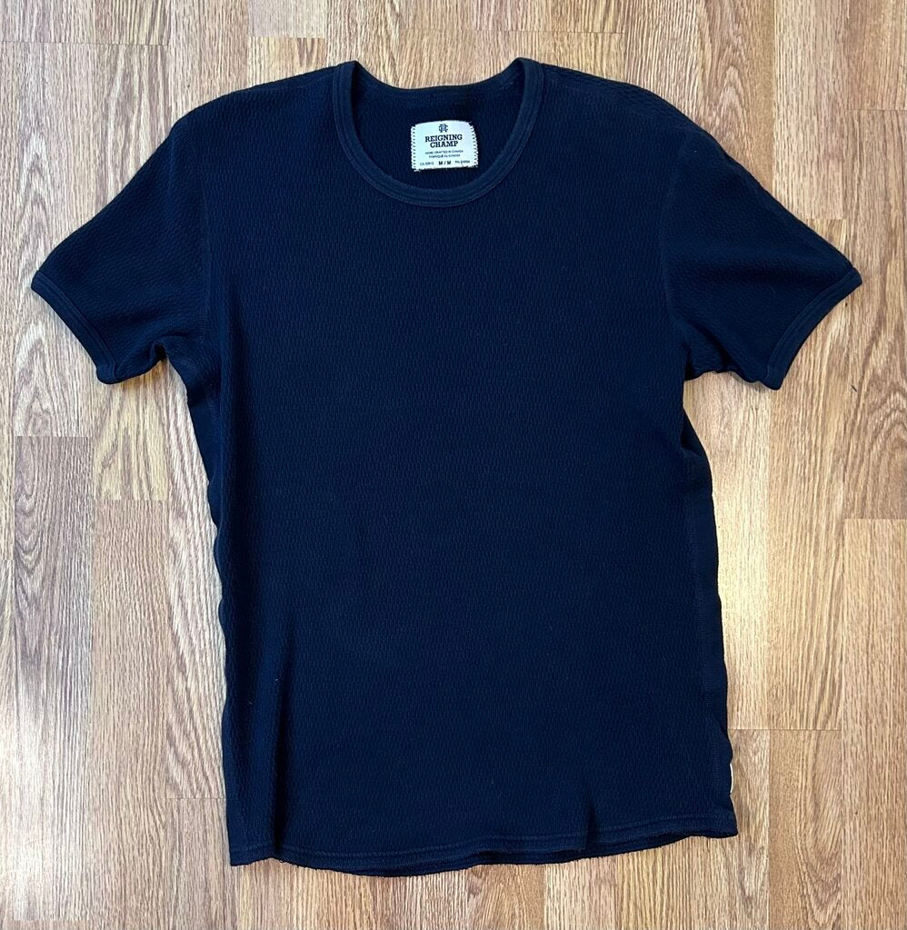 Reigning Champ (Aritzia) tee (M)