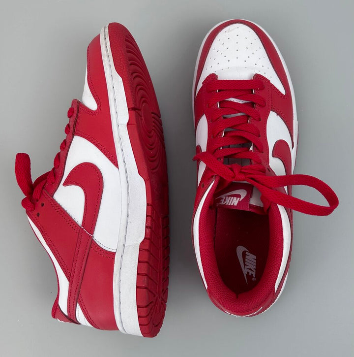 Nike dunk low retro sneaker (size 9)