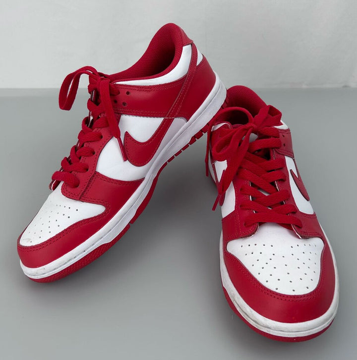 Nike dunk low retro sneaker (size 9)