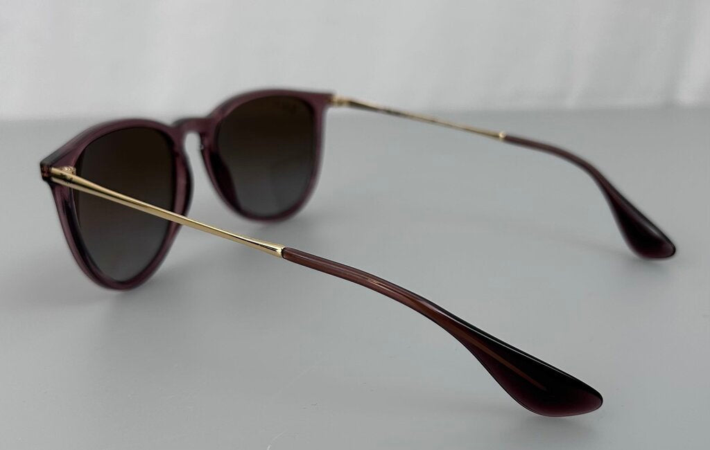 Rayban Erika polarized sunglasses